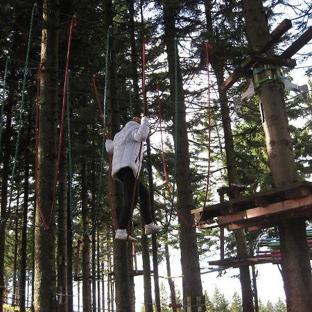 Holiday Home In Bohemia Near Ski Area And Forests 阿贝尔塔米 外观 照片
